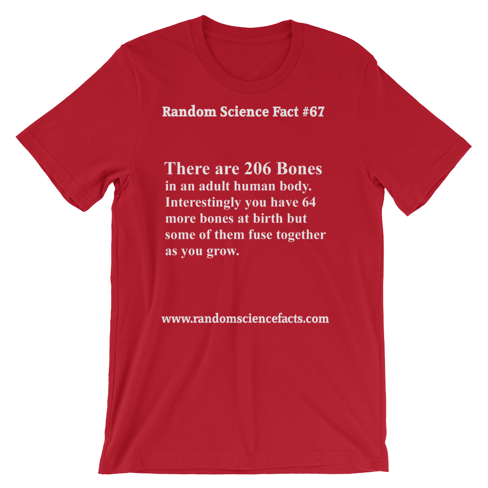 206 Bones T-Shirt – Random Science Fact #67 – Random Science Facts